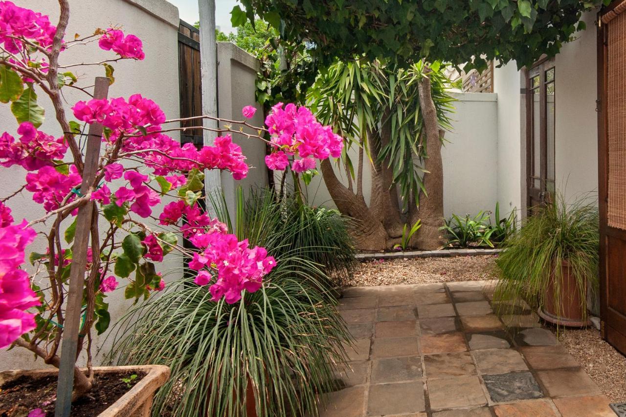Windsong Cottage Hermanus Ngoại thất bức ảnh